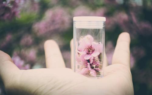 教师节祝福语班主任简短