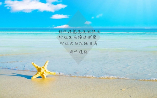 车载dj歌曲惜别的海岸