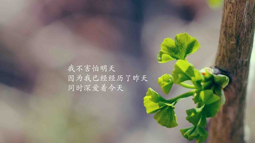 两人霸气闺蜜网名