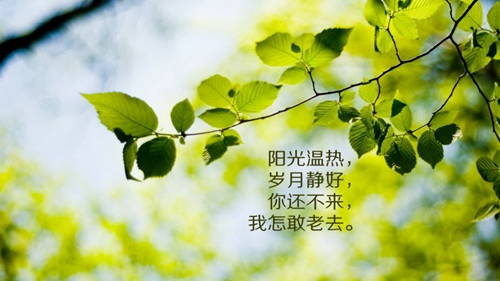 教师节的短信大全