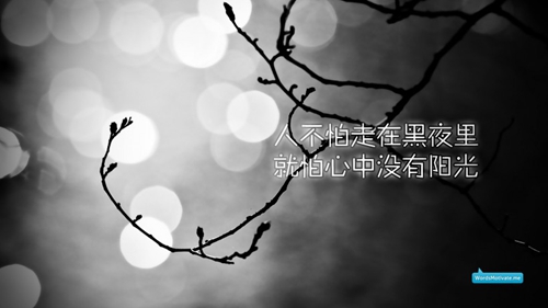 好听女生网名带静 好听女生网名带静