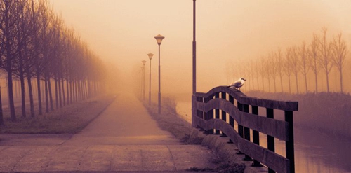 妙音坊dj打碟现场串烧56分钟 妙音坊dj打碟现场串烧56分钟