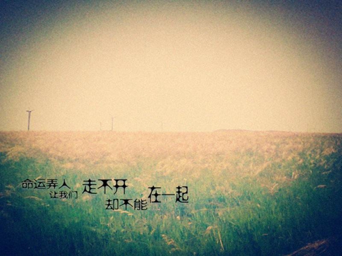 给老婆说的情话富有涵养的 给老婆说的情话富有涵养的