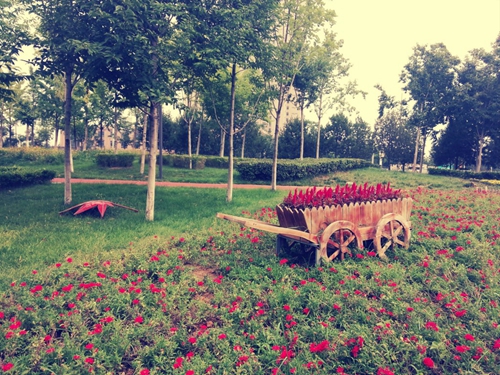 不媚名言名句 不媚名言名句