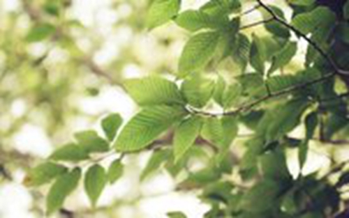 不现实爱情的句子说说心情(爱情上不现实的人是什么意思?) 不现实爱情的句子说说心情(爱情上不现实的人是什么意思?)